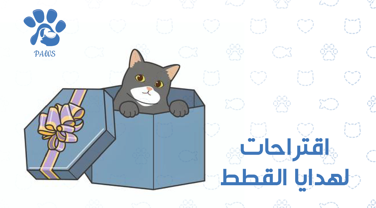 اقتراحات لهدايا القطط