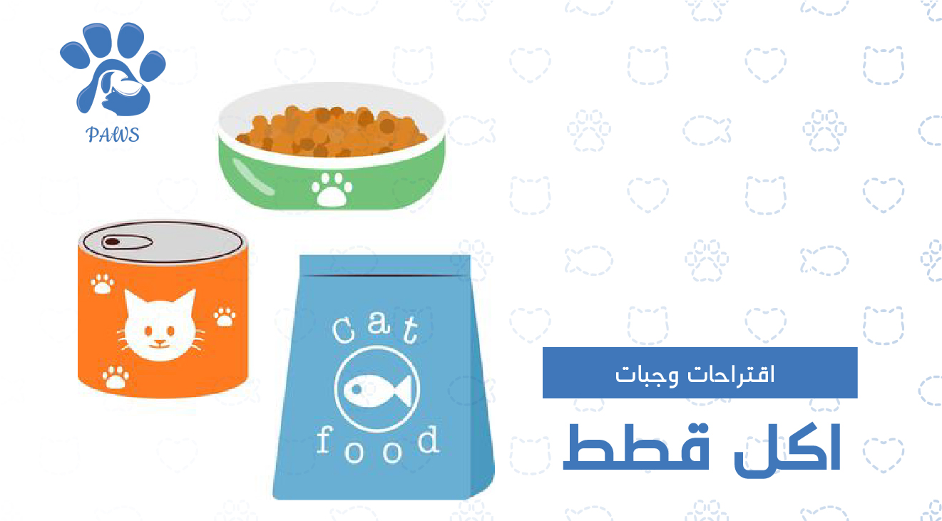 اقتراحات وجبات اكل قطط